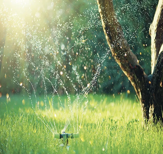 sustentabilidade